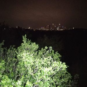 Meet your Posher, Shane